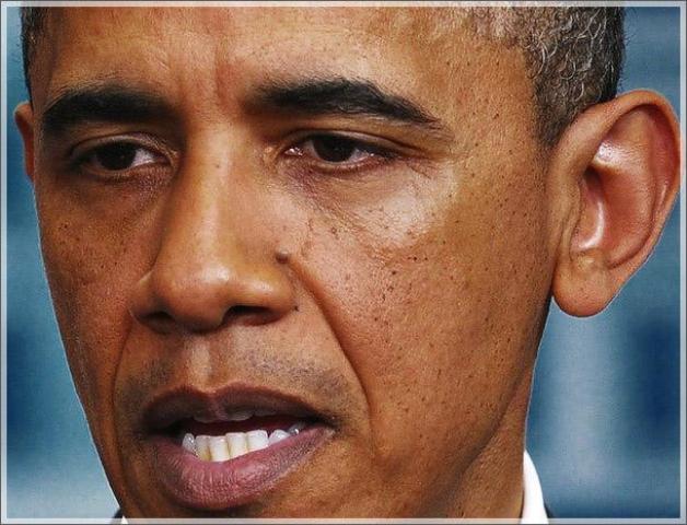 Obama_Gov_shuts_down