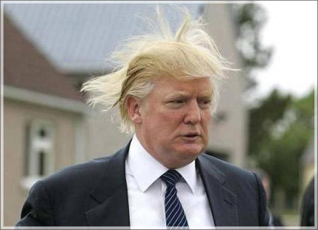 Trump_the_donald