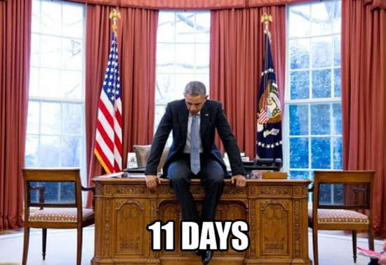obama-days-550x377